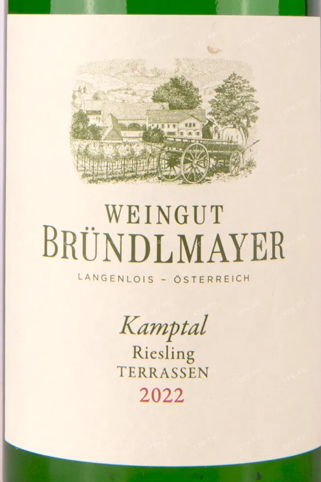 Этикетка Weingut Brundlmayer Terrassen Riesling 2022 0.75 л