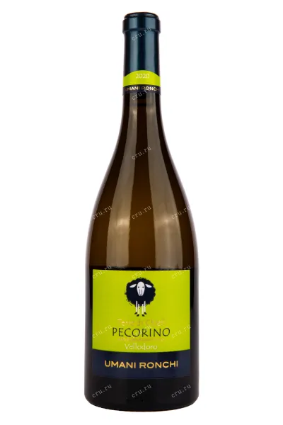 Вино Umani Ronchi Vellodoro Pecorino Terre di Chieti 2022 0.75 л