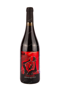 Вино Fermento Siciliano Etna Rosso 2022 0.75 л