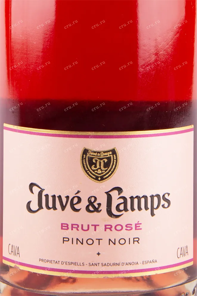 Этикетка игристого вина Juve y Camps Cava Rosado 0.75 л