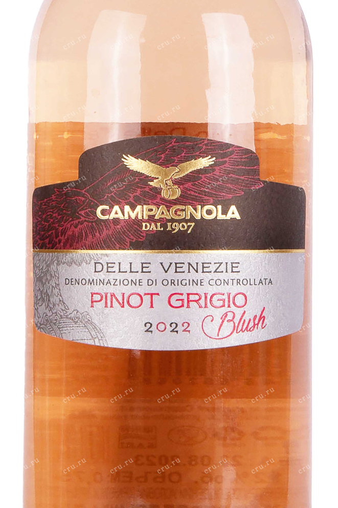 Этикетка Campagnola Pinot Grigio delle Venezie Blush 2022 0.75 л