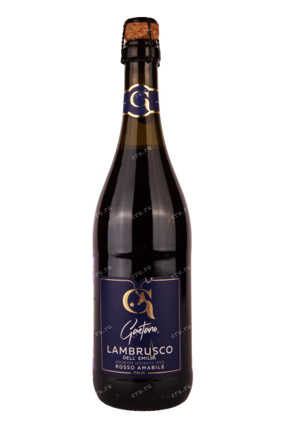 Игристое вино Gaetano Lambrusco dell Emilia 2021 0.75 л