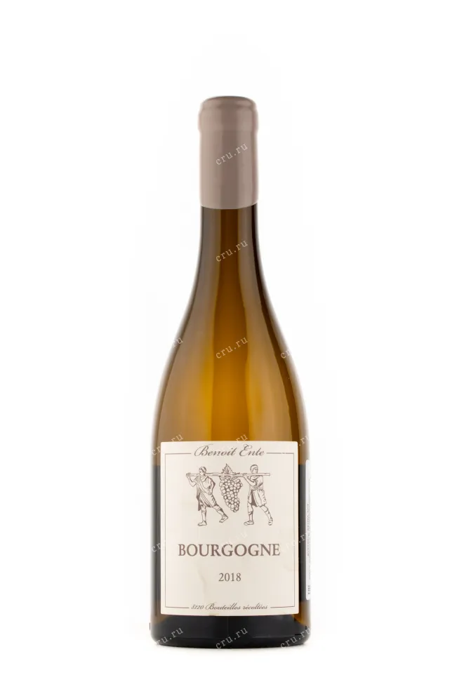 Вино Domaine Benoit Ente Bourgogne 2018 0.75 л