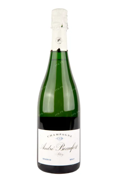 Шампанское Andre Beaufort Polisy Brut 2015 0.75 л