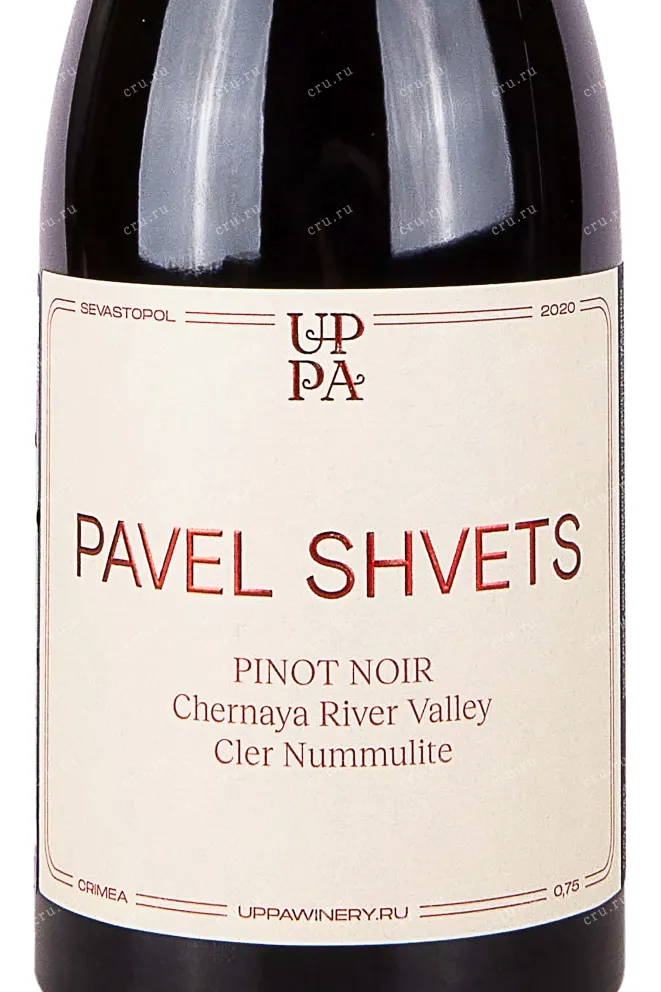 Этикетка Pavel Shvets Pinot Noir Cler Nummulite 2020 0.75 л