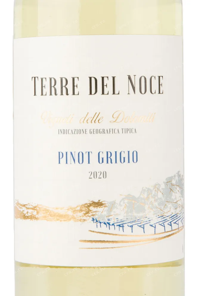 Этикетка вина Mezzacorona Terre del Noce Pinot Grigio 0.75 л