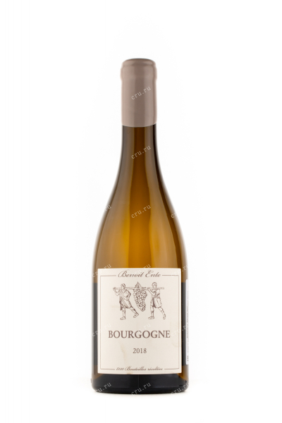 Вино Domaine Benoit Ente Bourgogne 2018 0.75 л