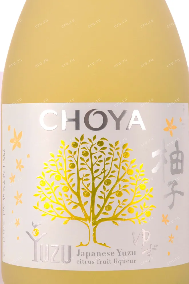 Этикетка Choya Yuzu 0.75 л