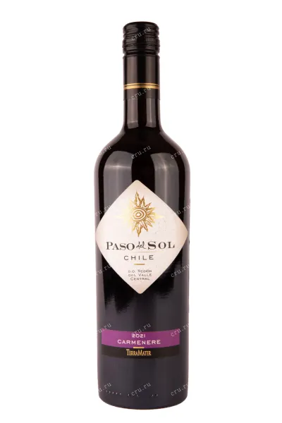 Вино TerraMater Paso Del Sol Carmenere 2022 0.75 л