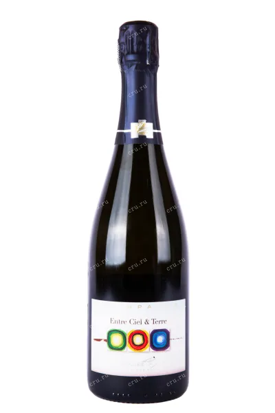 Шампанское Francoise Bedel Entre Ciel & Terre Extra Brut 2015 0.75 л