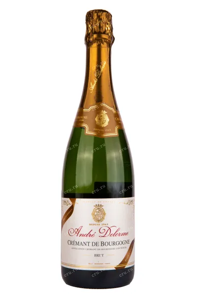 Игристое вино Andre Delorme Cremant de Bourgogne Brut  0.75 л