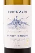 Этикетка вина Mezzacorona Forte Alto Pinot Grigio 0.75 л