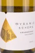 Контрэтикетка Pyramid Scheme California Chardonnay 2021 0.75 л