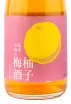 Вино Kishuishigami No Uzu Umeshu 0.72 л