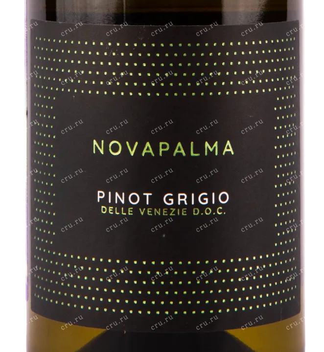 Этикетка вина Novapalma Pinot Grigio 0.75 л