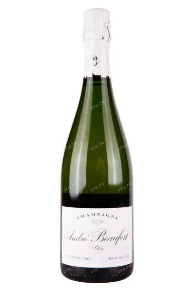 Игристое вино Andre Beaufort Polisy Millesime Brut Nature 2007 0.75 л