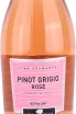 Этикетка Pinot Grigio Rose Spumante Extra Dry 2021 0.75 л