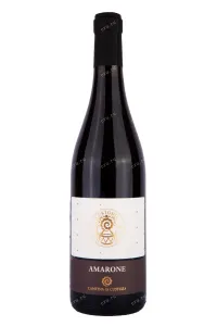 Вино Cantina di Custoza Custodia Amarone della Valpolicella 2019 0.75 л