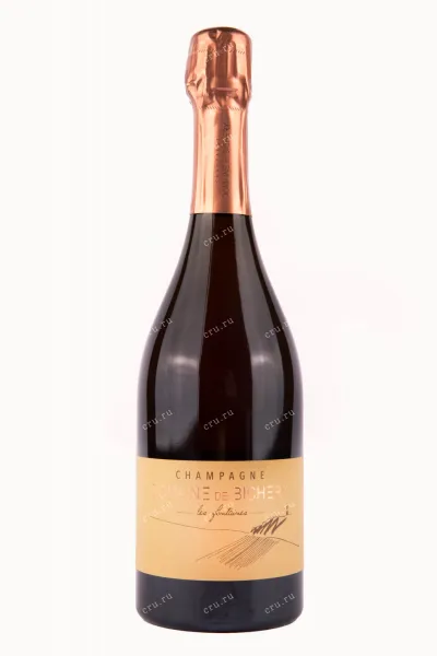 Шампанское Domaine de Bichery Les Fontaines Brut Nature Rose  0.75 л