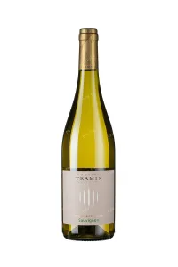 Вино Alto Adige Sauvignon DOC 2019 0.75 л