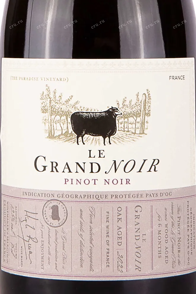 Этикетка Le Grand Noir Winemaker's Selection Pinot Noir 2022 0.75 л