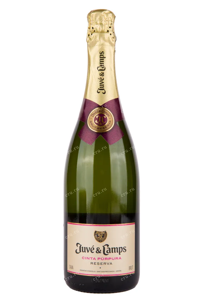 Игристое вино Juve y Camps Cava Cinta Purpura Reserva Brut  0.75 л