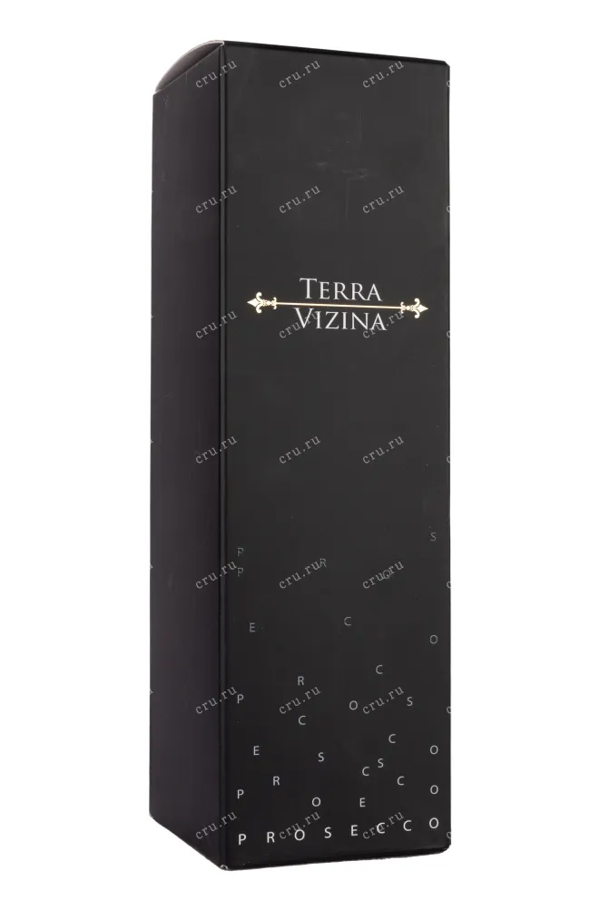 Игристое вино Prosecco Superiore Conegliano Valdobbiadene Extra Dry Terra Vizina in gift box 2021 0.75 л