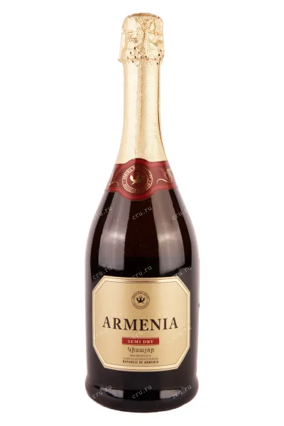 Игристое вино Armenia Sparkling Brut 2023 0.75 л
