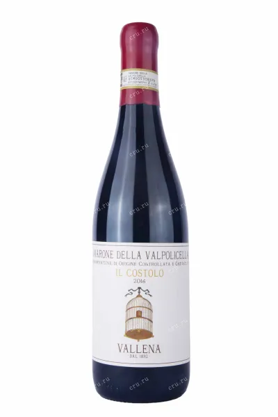 Вино Amarone della Valpolicella Il Costolo Vallena 2017 0.75 л