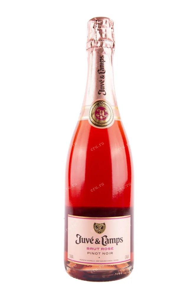 Игристое вино Juve y Camps Cava Rosado 2019 0.75 л