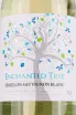 Этикетка Enchanted Tree Semillon-Sauvignon Blanc 0.75 л