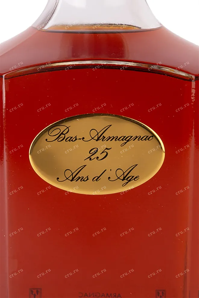 Этикетка Armagnac Baron de Sigognac 25 Аns d'Аge in gift box 1995 0.7 л