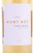 Этикетка Pinot Grigio Mont Mes Castelfeder  2020 0.75 л