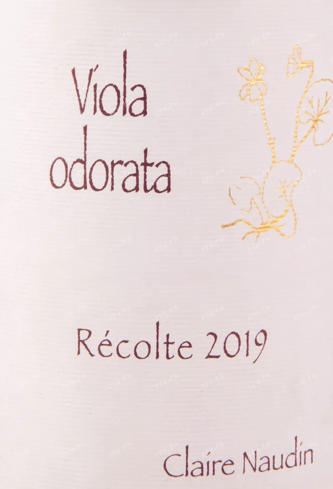 Этикетка вина Domaine H. Naudin-Ferrand Viola Odorata Cotes de Nuits Villages 2019 0.75 л