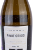 Этикетка Pinot Grigio Spumante Extra Dry 2021 0.75 л